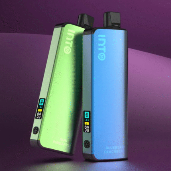 INTO-ICEGO 12k Strawberry Raspberry